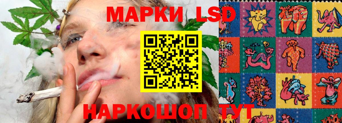 Бошки Шишки Бор