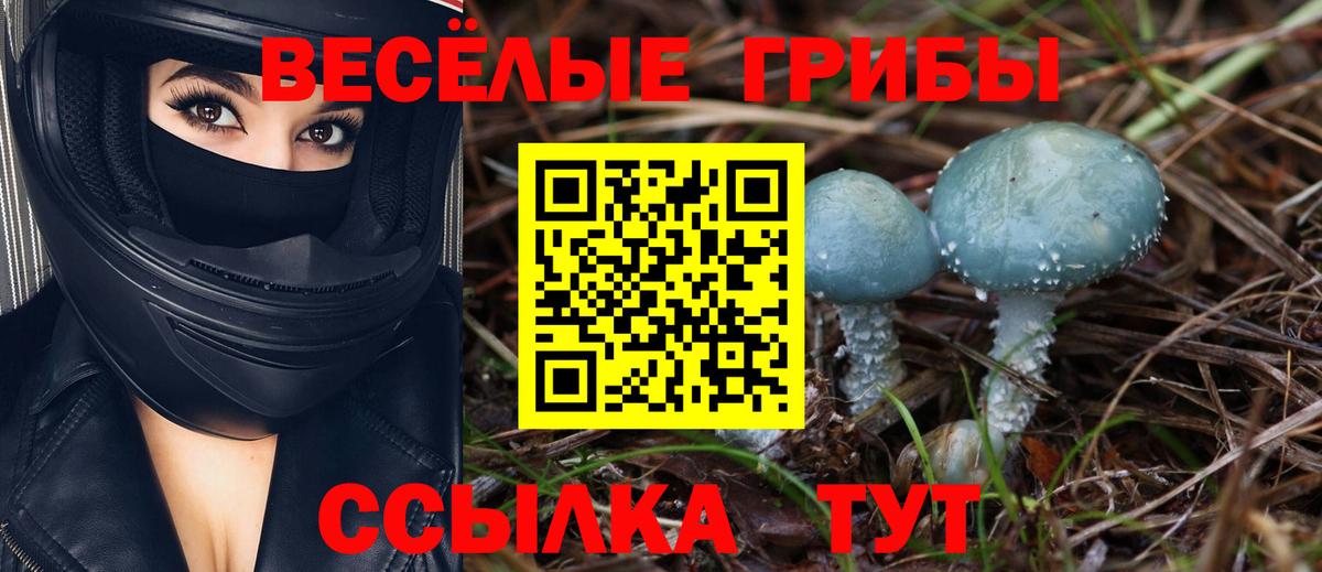 Галлюциногенные грибы мицелий  Вход с VPN  закладки  Бор 